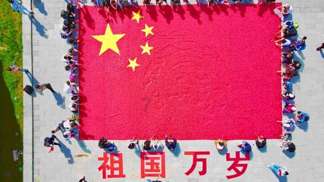 小乌龟逃亡记