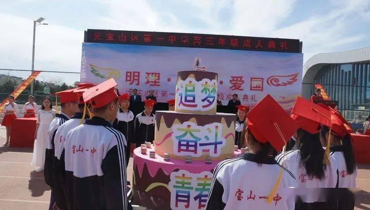 大堡礁的海洋生态:科学视角下的美丽奇迹
